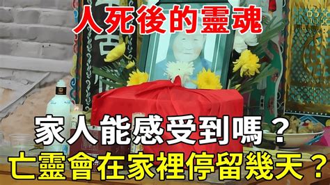 人死後靈魂會在家嗎|人往生後第7天…靈魂會不會回家？他揭「恐怖經歷」。